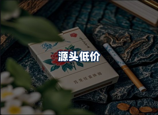 专业团队办公环境